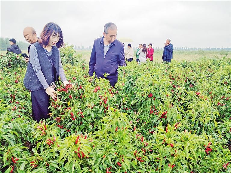 图片1.jpg 图片1.jpg