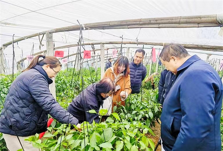 微信图片_20251027165327.jpg 微信图片_20251027165327.jpg