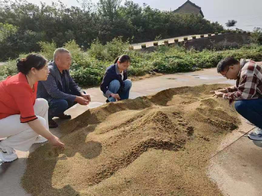 图片5.jpg