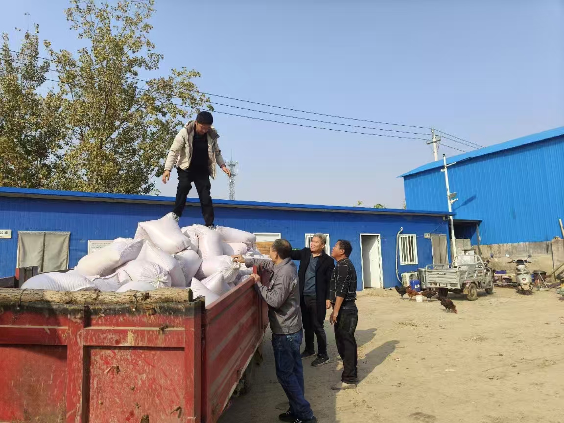 微信图片2.jpg 微信图片2.jpg