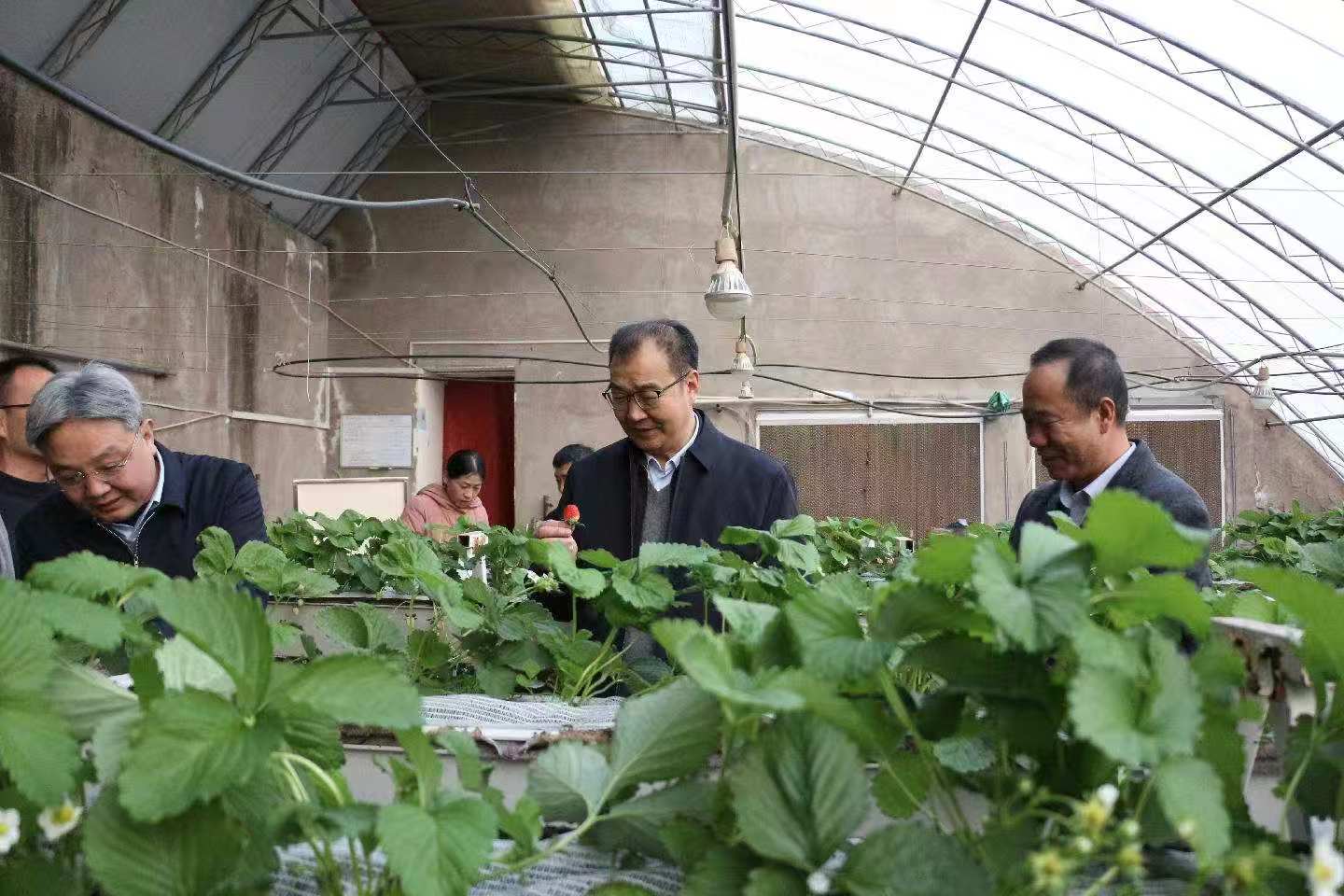 微信图片_3.jpg 微信图片_3.jpg