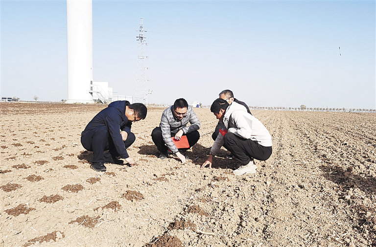 图片1.png 图片1.png