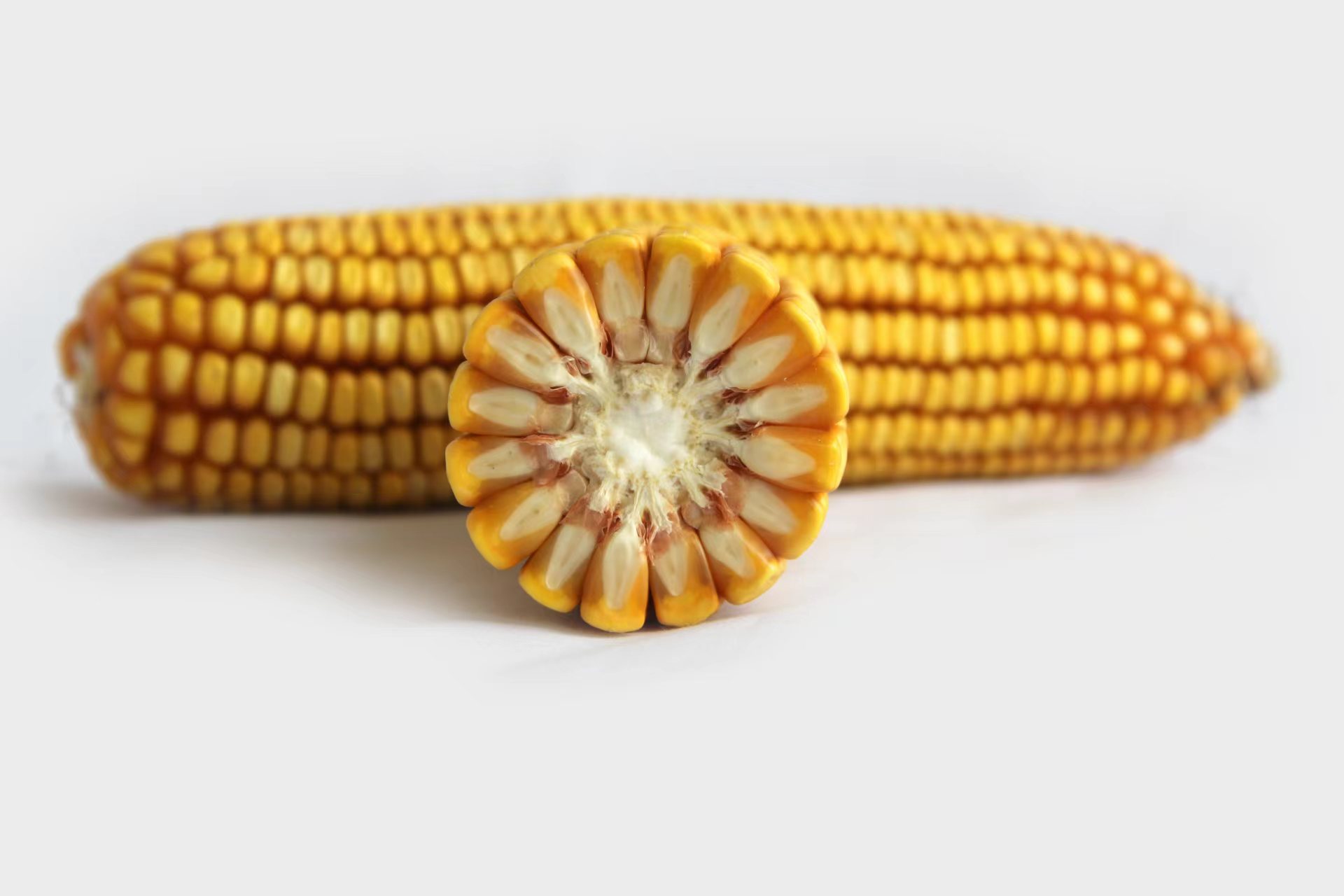 1e284761ee6bfbf5d30d09de9908ea6a.jpg