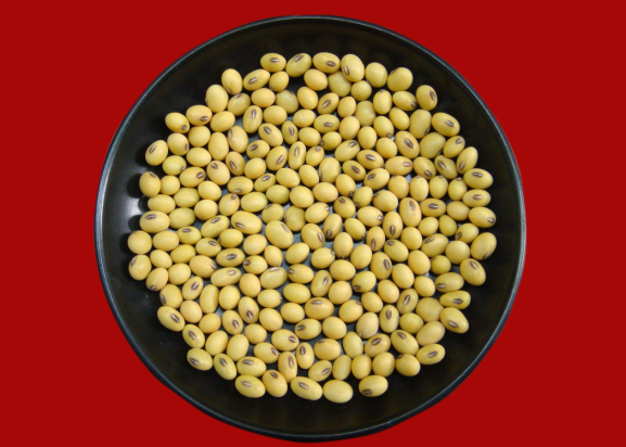 6ead7f0b614d05237ecd2c03eba513ad.png