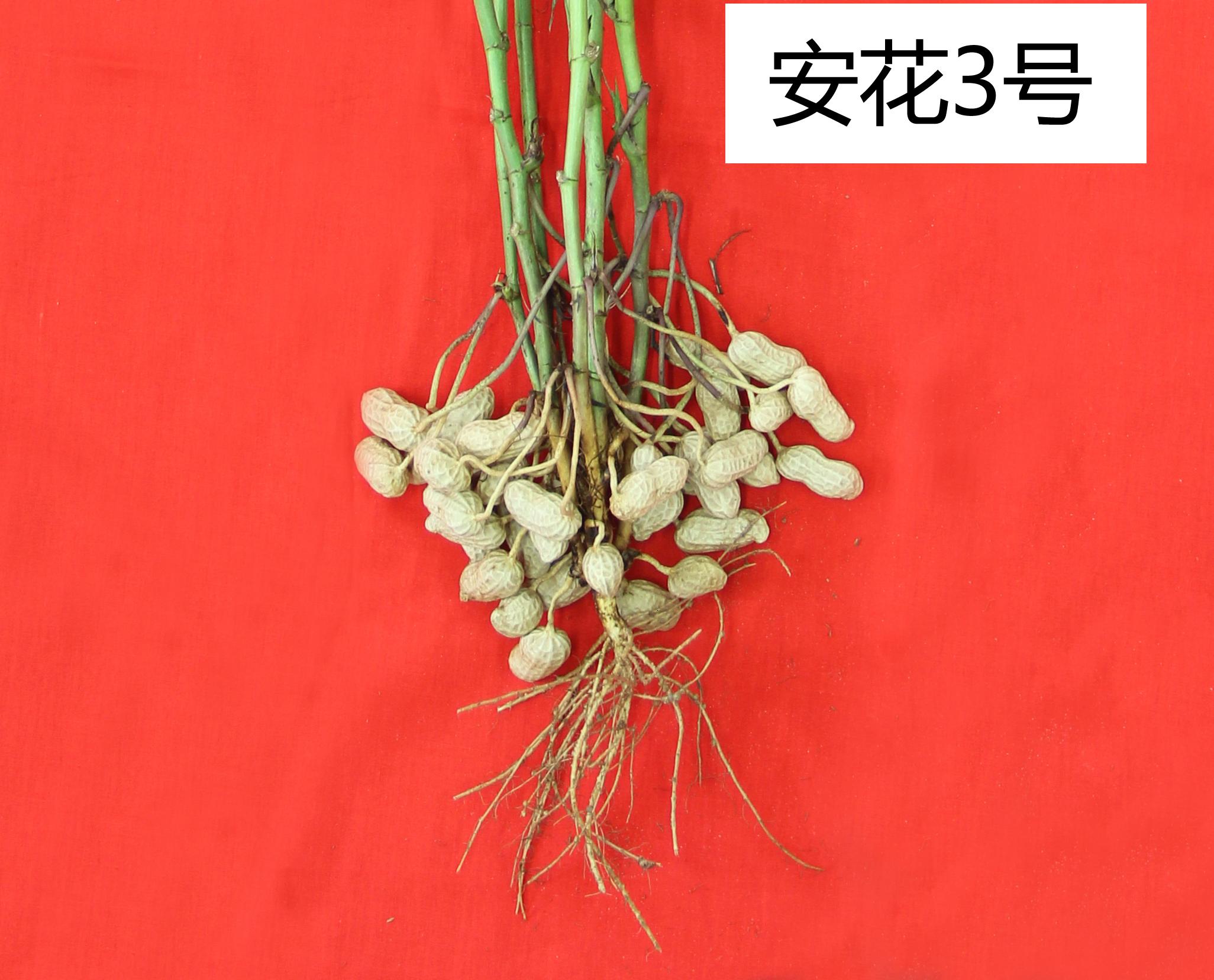 ccf68e88ed0486139ab6dc77745406e1.jpg