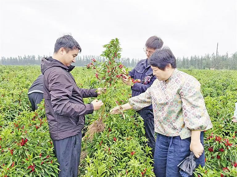 微信图片_20250924091334.jpg