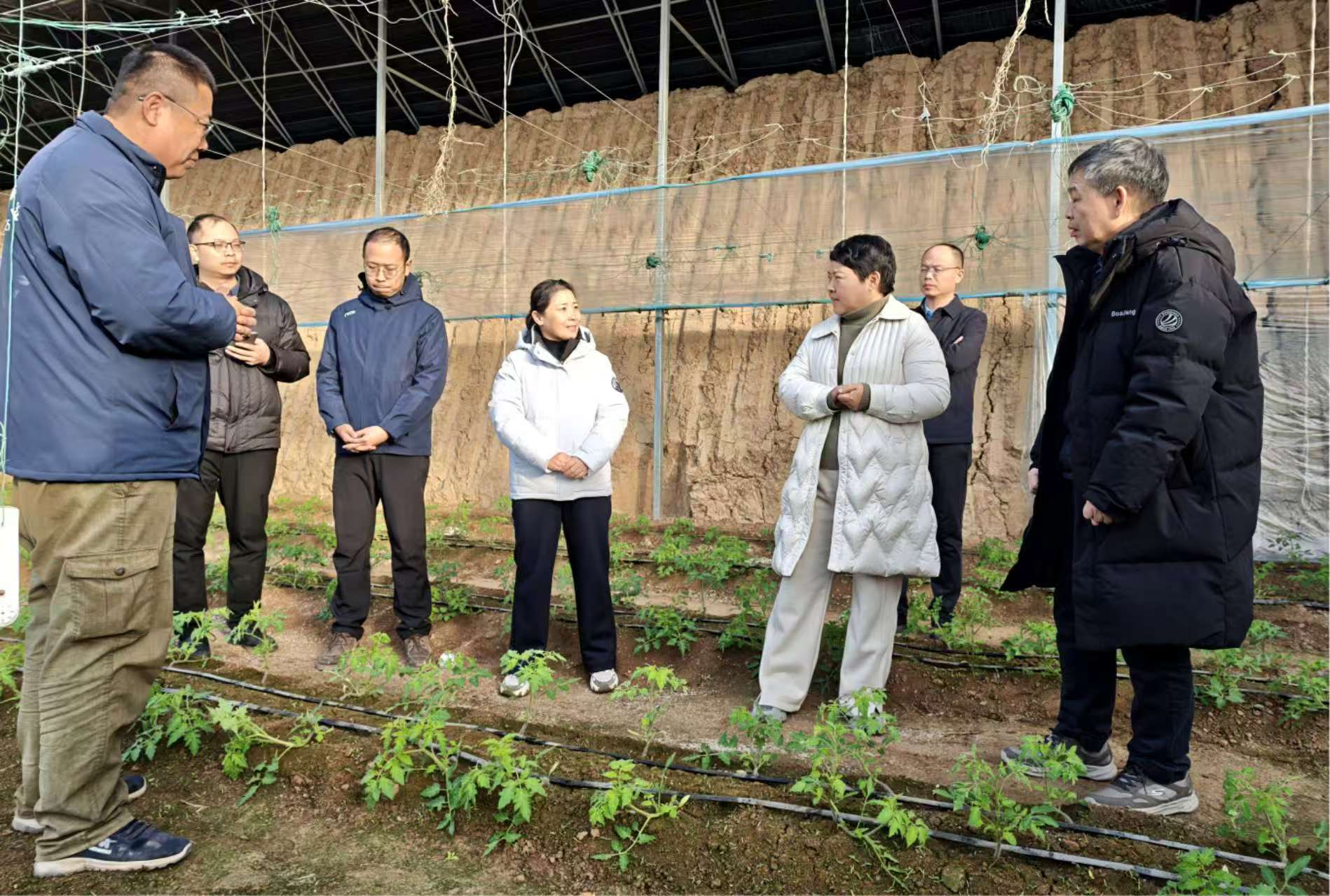 微信图片_1.jpg 微信图片_1.jpg