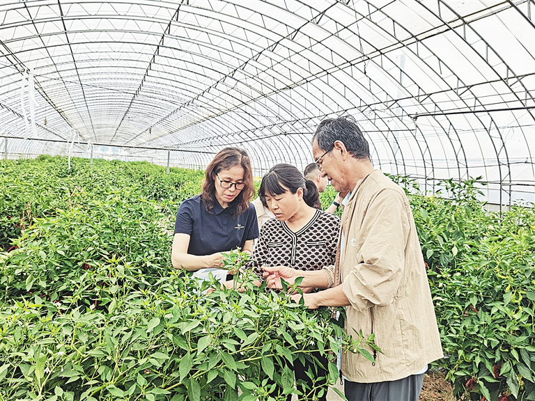 图片1.png 图片1.png